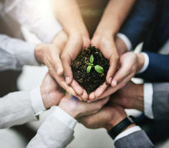 Green and Sustainable Finance Updates