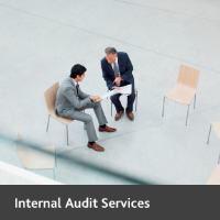 Internal Audit Services