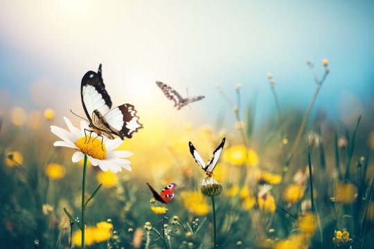BDO announces winners of the BDO ESG Awards 2021